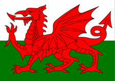 Welsh Wales Flag The Red Dragon Adhesive Decal Vinyl Sticker A Size Large Small