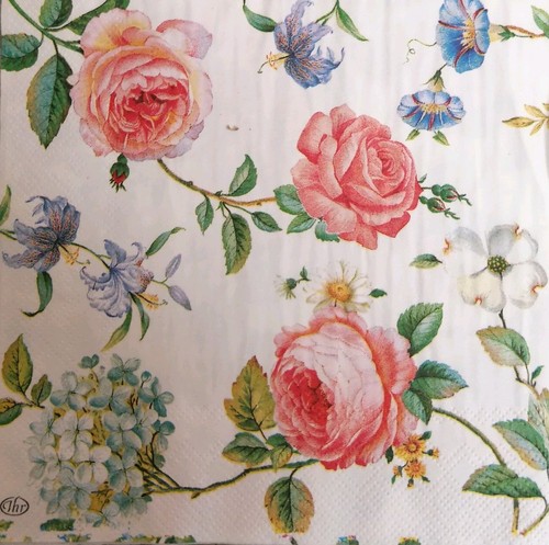 Single paper napkins - x,