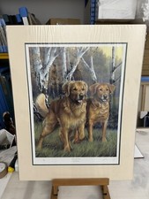 NIgel Hemming - Silver And Gold Labradors - Mounted - In Stock