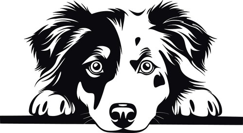 Personalised puppy dog i - dog,