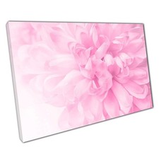 Chrysanthemum Floral Canvas
