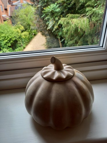 Soapstone pumpkin harvest - soapstone,