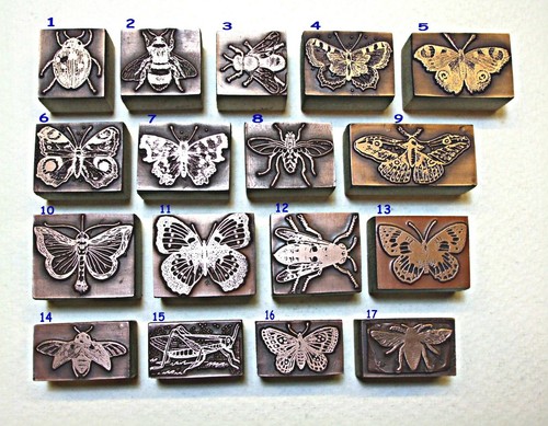 Butterflies bees insects - "butterflies,, insects"