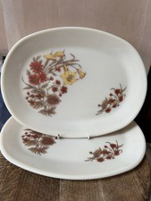 2 Pyrex Harvest Spray Oval Steak Plate Platter Serving Dish Vintage Retro
