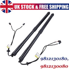 LH&RH Electronic Tailgate
