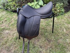 Voltaire Adelaide Dressage