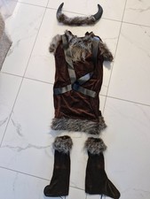 Boys Viking Costume age 10-12