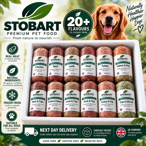 Stobart raw dog - raw, food