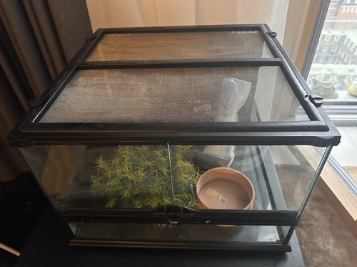 Exoterra glass vivarium for - exoterra,