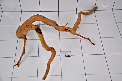 Premium aquarium natural wood - premium,