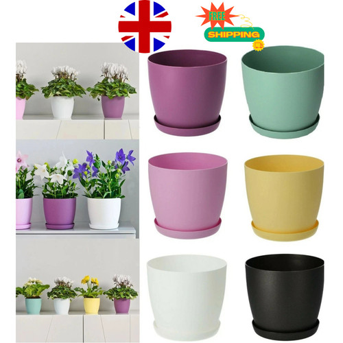Plant pots flower - flower, 6
