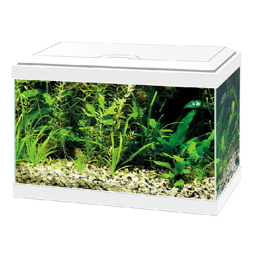 Ciano aqua white led small - white,