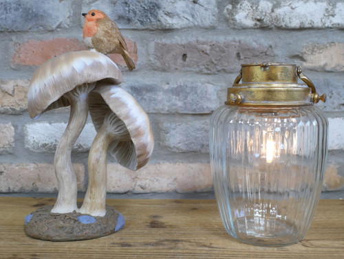Tall large robin mushroom - robin, a