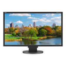 NEC MultiSync 22" HD Monitor EA223WM Landscape Portrait VGA DVI DisplayPort