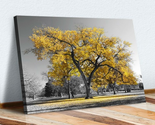Large tree yellow - tree, black