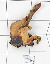 Premium Aquarium Natural