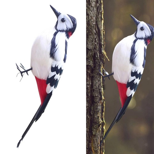 Simulation woodpecker model - simulation,