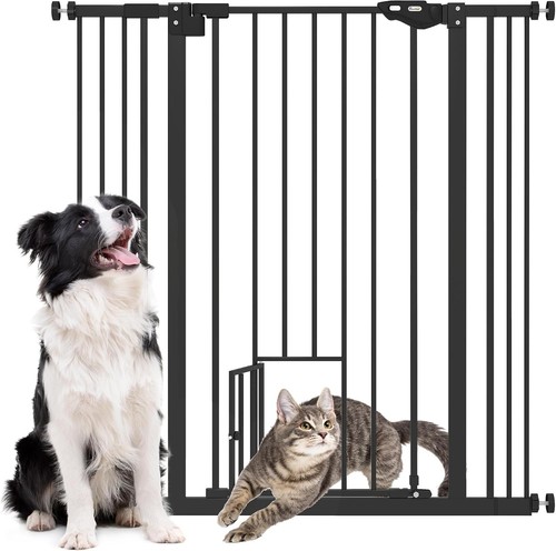 Extra tall dog - tall, cat