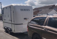 EQUITREK Space Treka Medium