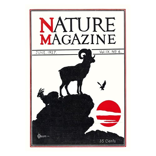 Mountain goat vintage poster - mountain,