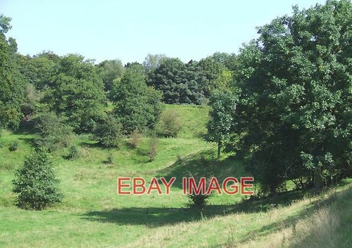 Photo grazing land and - photo,