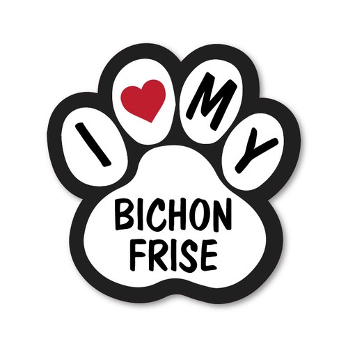 Love bichon frise - love,
