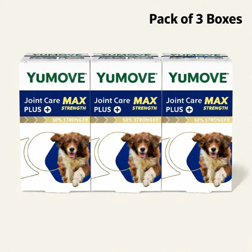 Pack yumove senior dog max - dog,