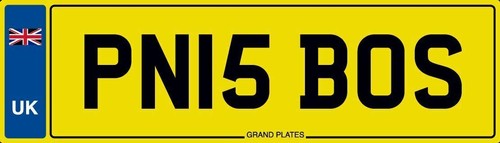 Boss number plate - is,