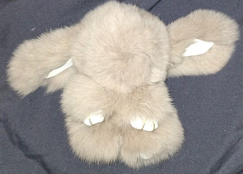Fluffy rabbit super - rabbit, bunny