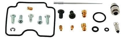 Carburetor rebuild kit 2006 - kit,