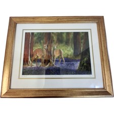 Framed Limited Edition Print