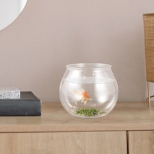 Desktop Fish Bowl Transparent