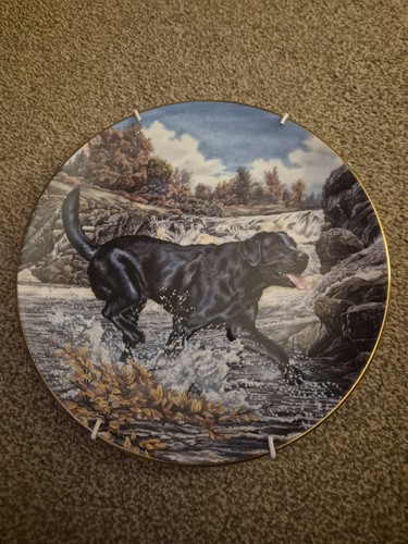 Royal doulton dogs action - royal, in