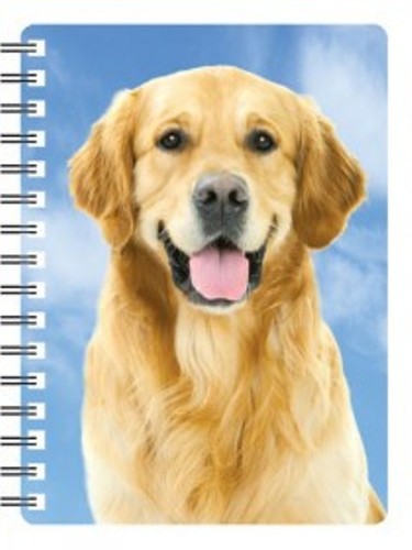 Golden retriever notebook - 3d,