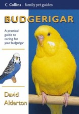 Budgerigar (Collins Family Pet