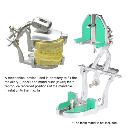 2pcs adjustable dental tooth - 2pcs,