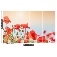 Photo wallpaper Wall mural