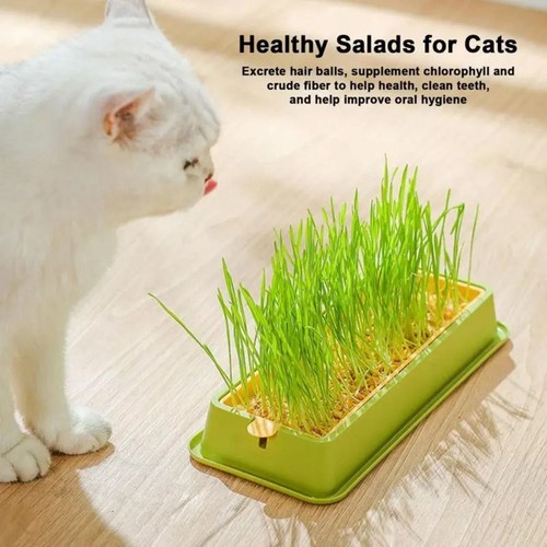 1xcat grass planting - planting, box