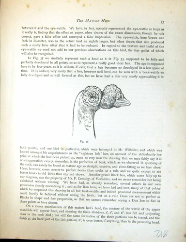 Original old antique print - original,