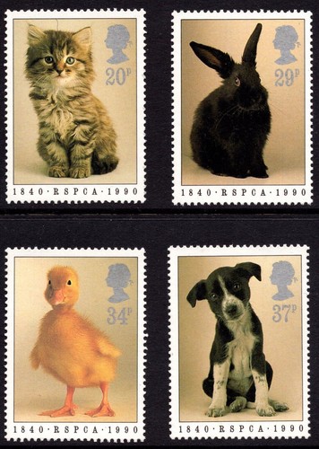 1990 rspca set cat - rspca,