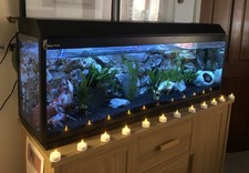 Large Fully Equipped 4ft Fish Tank Aquarium , Storage Cabinet , Nursery Tank 