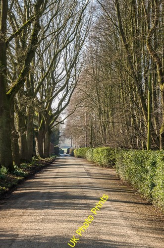 Photo 6x4 steventon road - 6x4,