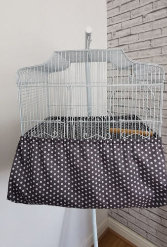 Bird cage seed - bird,