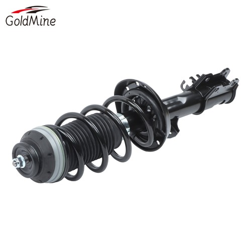 Shock absorber strut coil - absorber,