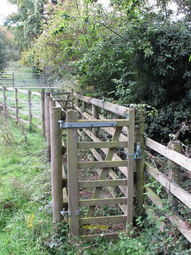 Photo 12x8 cattle handling - 12x8,