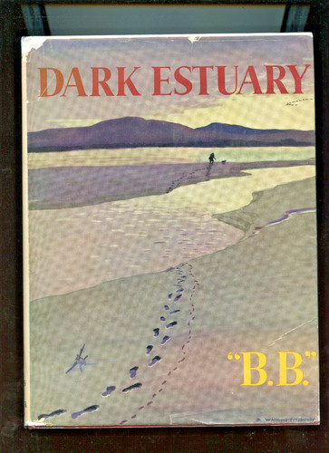 Dark estuary first - dark,