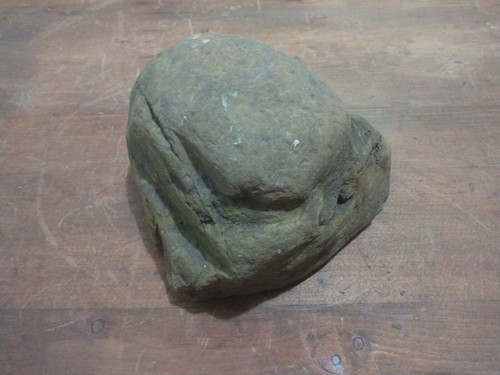 Fossil concretion teardrop egg - fossil,