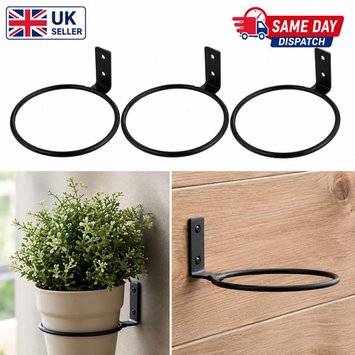 Flower pot plant - flower, ring