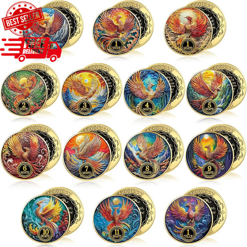 Pcs sobriety coins bulk - sobriety,
