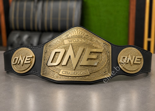 One world championship title - world,
